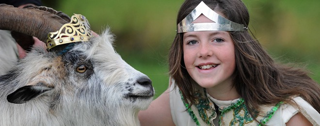 神奇的爱尔兰传统：400年来为山羊加冕，全民狂欢